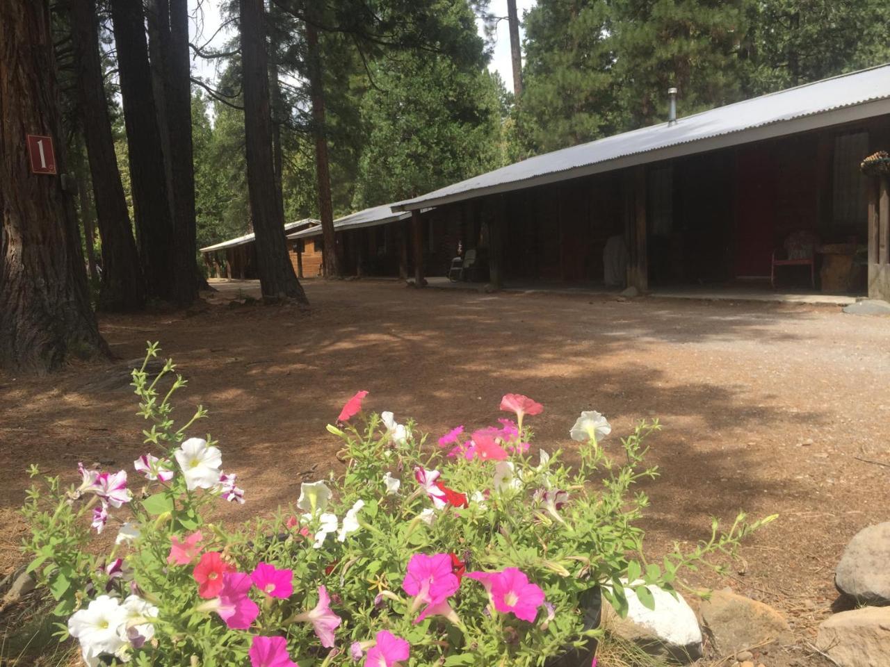 Sierra Sky Lodge Sloat Dış mekan fotoğraf
